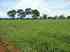 Fazendas a venda-rural urbano-julios dna im�veis